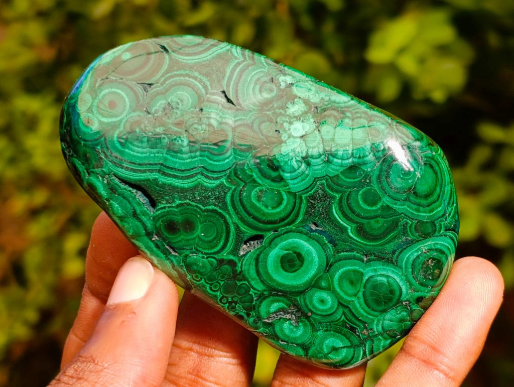 Polished Flower Banded Malachite Free Forms x 6 From Congo - Toprock Gemstones and Minerals 