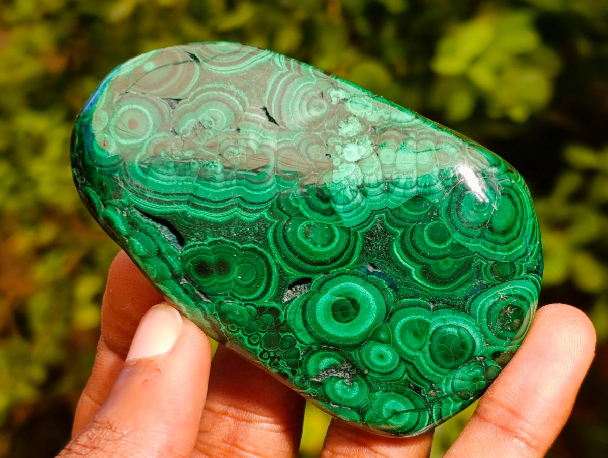 Polished Flower Banded Malachite Free Forms x 6 From Congo - Toprock Gemstones and Minerals 