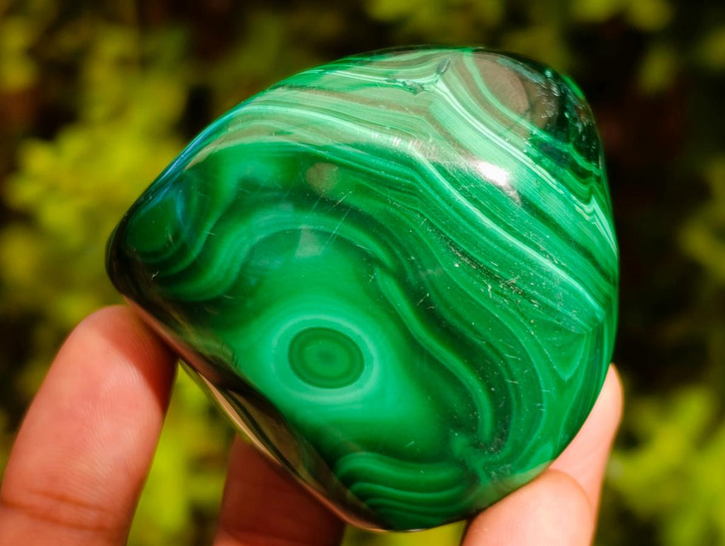 Polished Flower Banded Malachite Free Forms x 6 From Congo - Toprock Gemstones and Minerals 