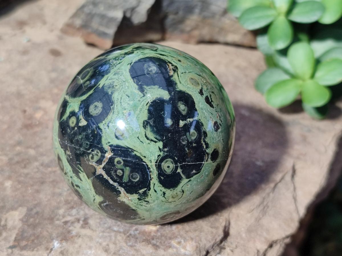 Polished Stromatolite Spheres x 6 From Katsepy, Madagascar - Toprock Gemstones and Minerals 