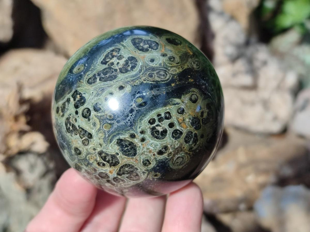 Polished Stromatolite Spheres x 6 From Katsepy, Madagascar - Toprock Gemstones and Minerals 