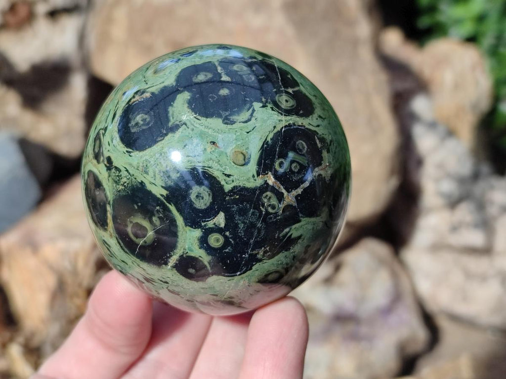 Polished Stromatolite Spheres x 6 From Katsepy, Madagascar - Toprock Gemstones and Minerals 