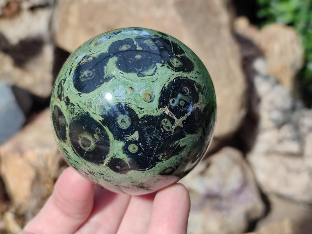 Polished Stromatolite Spheres x 6 From Katsepy, Madagascar - Toprock Gemstones and Minerals 