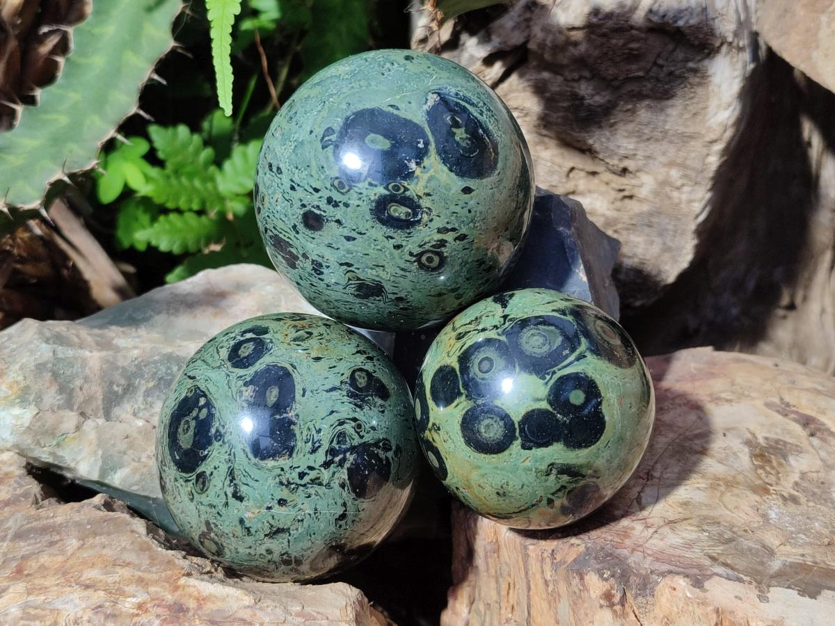 Polished Stromatolite Spheres x 6 From Katsepy, Madagascar - Toprock Gemstones and Minerals 