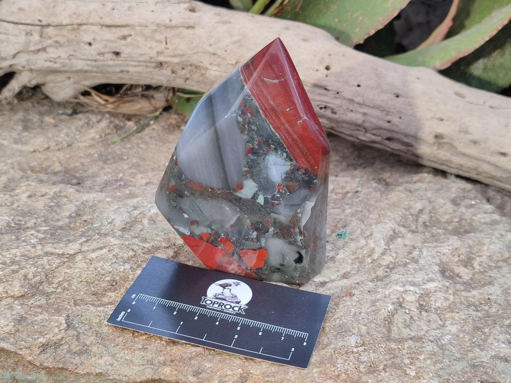 Polished Bloodstone Display Crystal Points x 2 From Swaziland - Toprock Gemstones and Minerals 