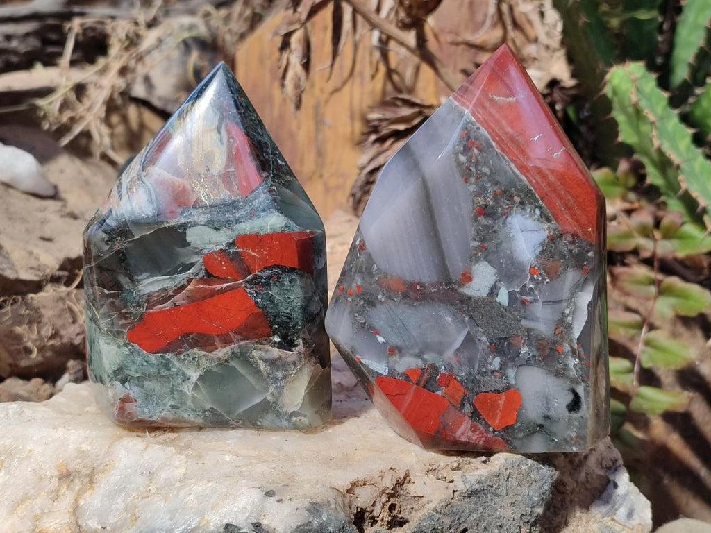Polished Bloodstone Display Crystal Points x 2 From Swaziland - Toprock Gemstones and Minerals 