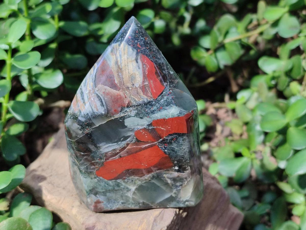 Polished Bloodstone Display Crystal Points x 2 From Swaziland - Toprock Gemstones and Minerals 