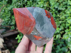 Polished Bloodstone Display Crystal Points x 2 From Swaziland - Toprock Gemstones and Minerals 