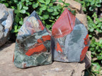 Polished Bloodstone Display Crystal Points x 2 From Swaziland - Toprock Gemstones and Minerals 