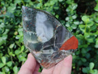 Polished Bloodstone Display Crystal Points x 2 From Swaziland - Toprock Gemstones and Minerals 
