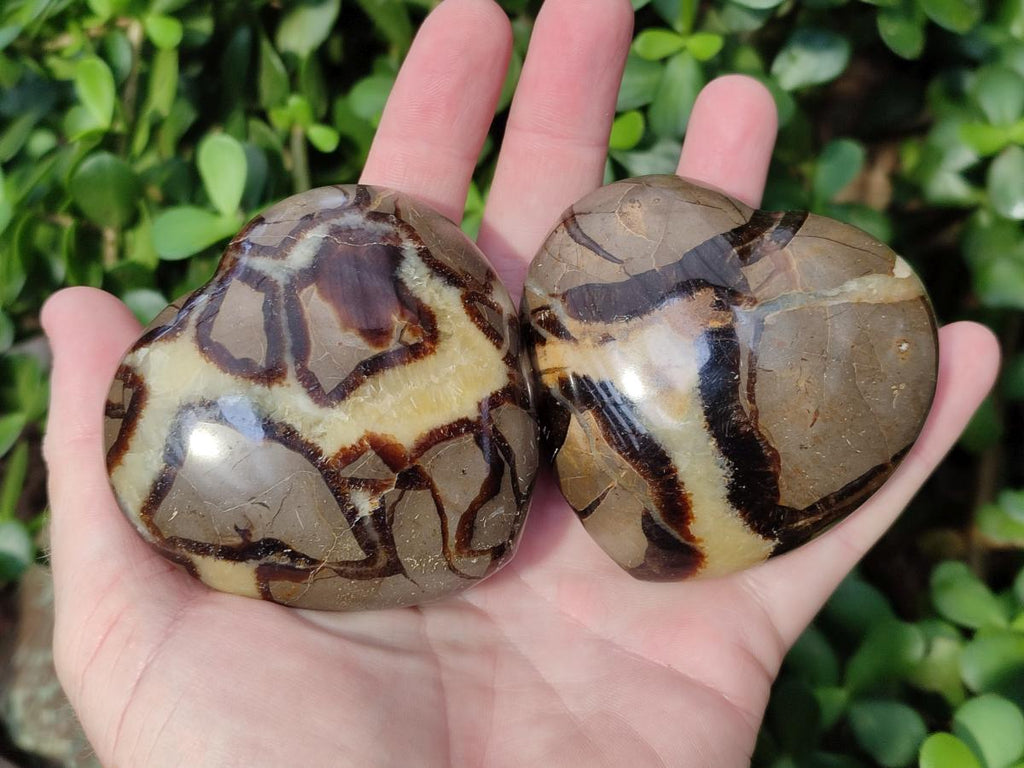 Polished Septerye Hearts x 6 From Mahajanga, Madagascar - Toprock Gemstones and Minerals 