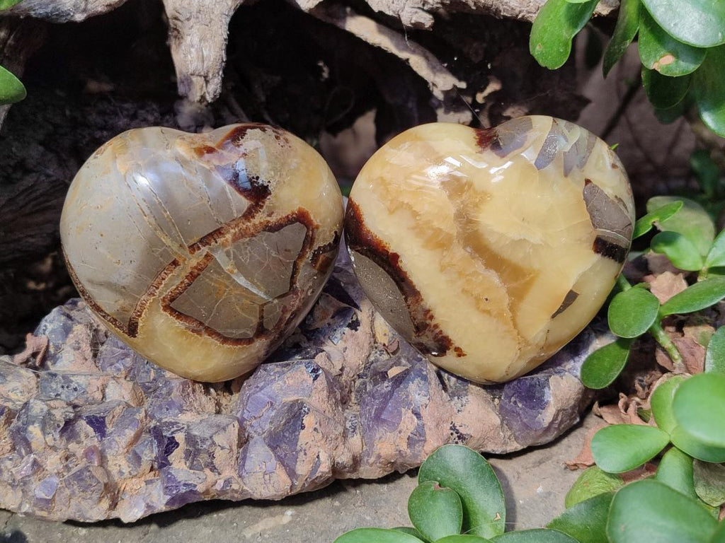 Polished Septerye Hearts x 6 From Mahajanga, Madagascar - Toprock Gemstones and Minerals 