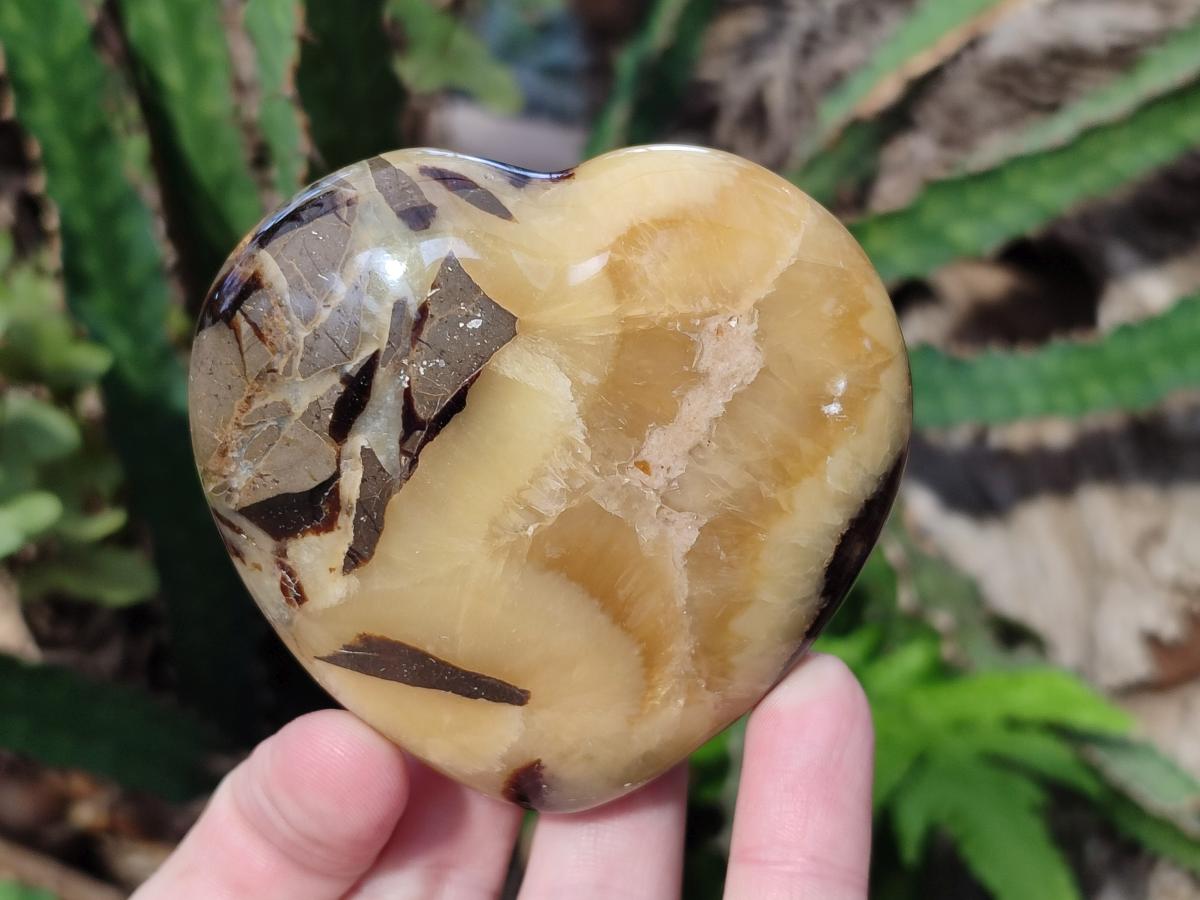 Polished Septerye Hearts x 6 From Mahajanga, Madagascar - Toprock Gemstones and Minerals 