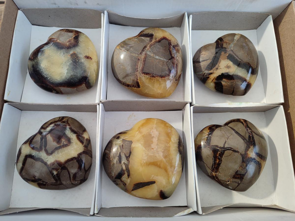 Polished Septerye Hearts x 6 From Mahajanga, Madagascar - Toprock Gemstones and Minerals 