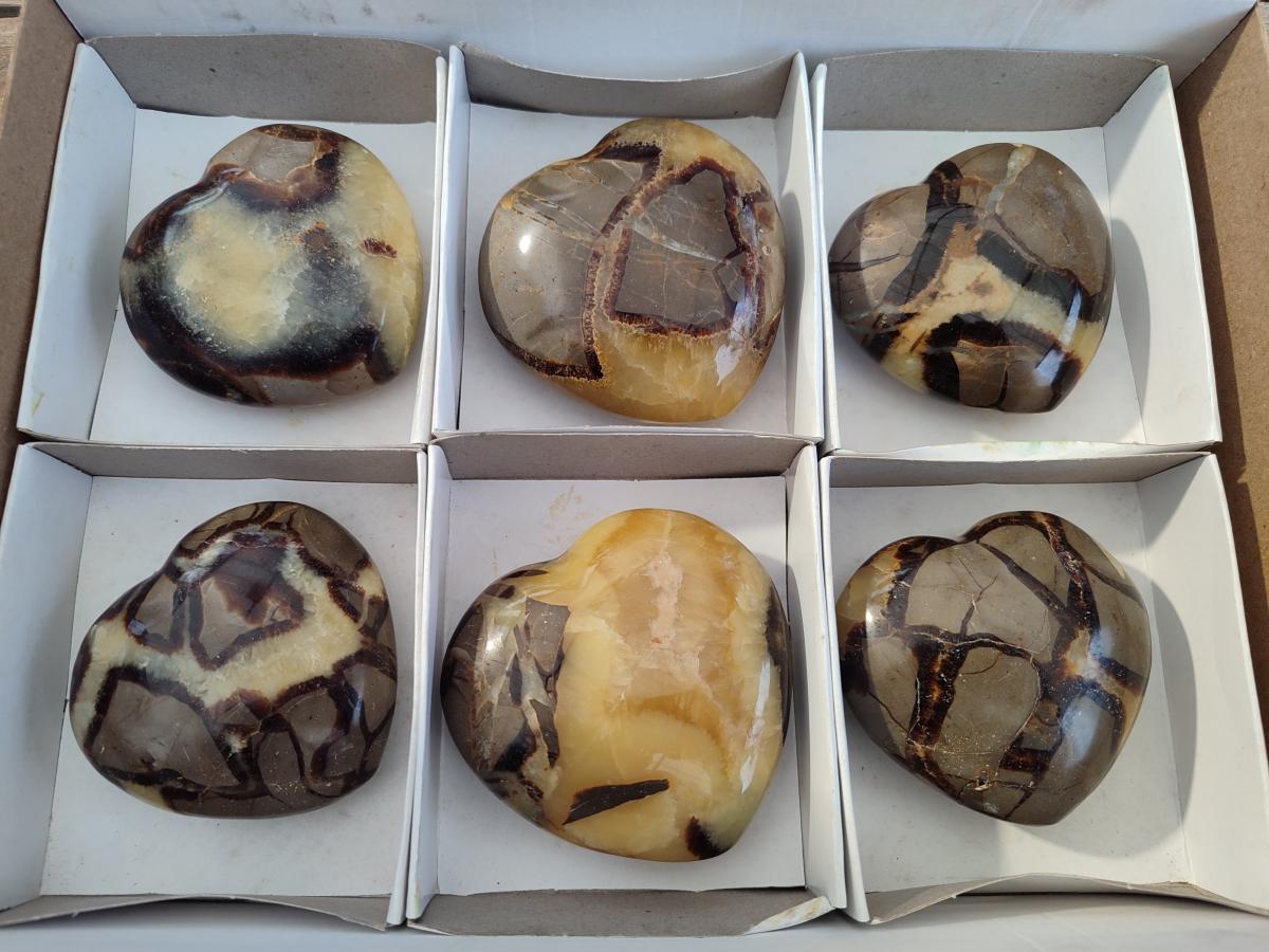 Polished Septerye Hearts x 6 From Mahajanga, Madagascar - Toprock Gemstones and Minerals 