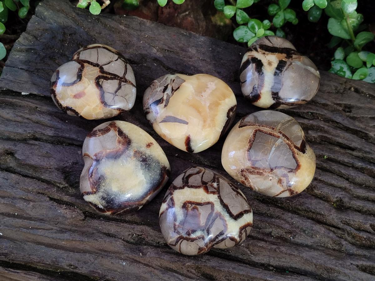 Polished Septerye Hearts x 6 From Mahajanga, Madagascar - Toprock Gemstones and Minerals 