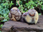 Polished Septerye Hearts x 6 From Mahajanga, Madagascar - Toprock Gemstones and Minerals 