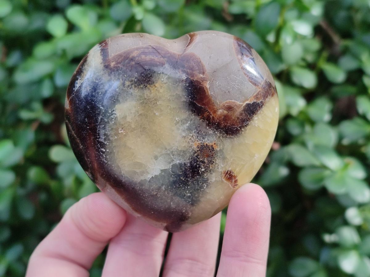 Polished Septerye Hearts x 6 From Mahajanga, Madagascar - Toprock Gemstones and Minerals 
