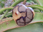 Polished Septerye Hearts x 6 From Mahajanga, Madagascar - Toprock Gemstones and Minerals 