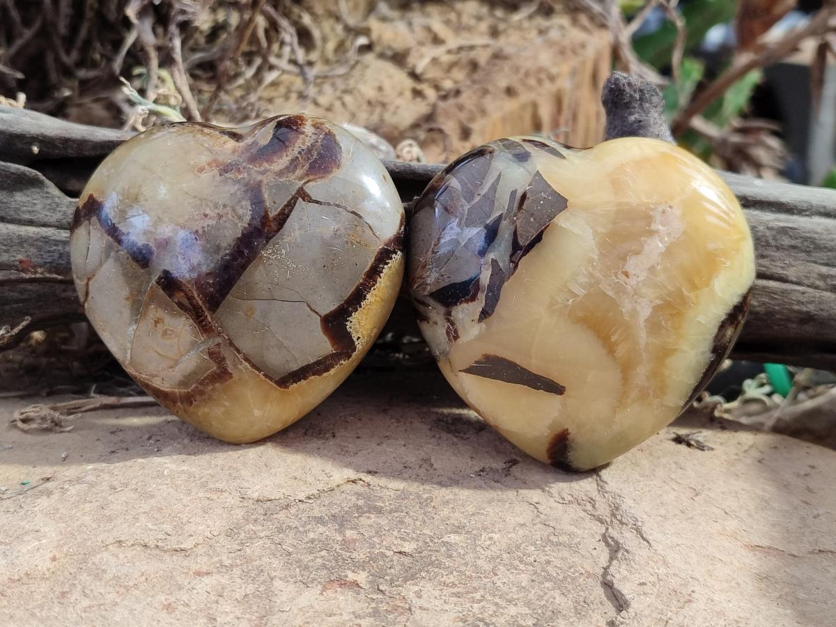 Polished Septerye Hearts x 6 From Mahajanga, Madagascar - Toprock Gemstones and Minerals 