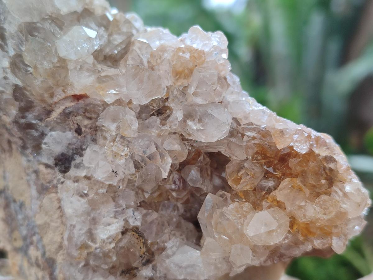 Natural Golden Limonite Quartz Clusters x 6 From Solwezi, Zambia - Toprock Gemstones and Minerals 