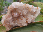 Natural Golden Limonite Quartz Clusters x 6 From Solwezi, Zambia - Toprock Gemstones and Minerals 