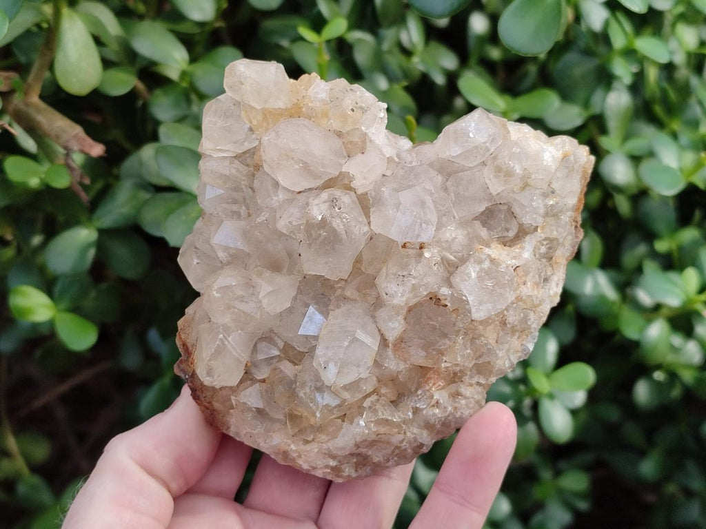 Natural Golden Limonite Quartz Clusters x 6 From Solwezi, Zambia - Toprock Gemstones and Minerals 