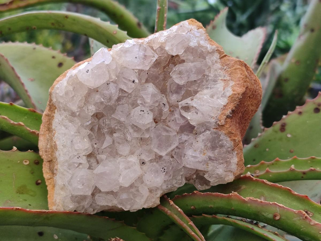Natural Golden Limonite Quartz Clusters x 6 From Solwezi, Zambia - Toprock Gemstones and Minerals 