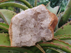 Natural Golden Limonite Quartz Clusters x 6 From Solwezi, Zambia - Toprock Gemstones and Minerals 
