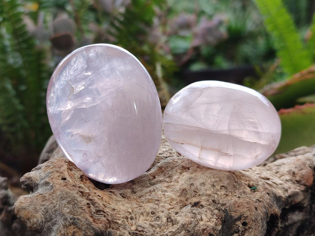 Polished Gemmy Rose Quartz Palm Stones x 24 From Madagascar - Toprock Gemstones and Minerals 