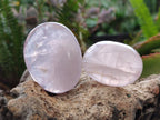 Polished Gemmy Rose Quartz Palm Stones x 24 From Madagascar - Toprock Gemstones and Minerals 