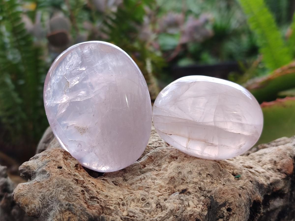 Polished Gemmy Rose Quartz Palm Stones x 24 From Madagascar - Toprock Gemstones and Minerals 
