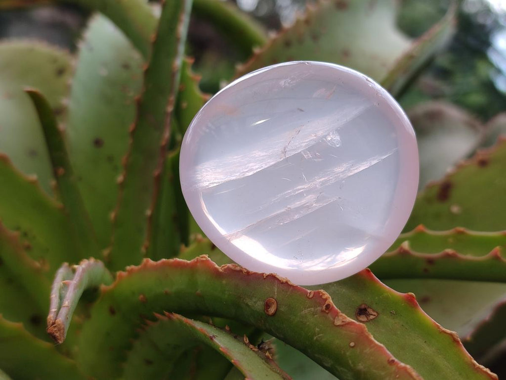 Polished Gemmy Rose Quartz Palm Stones x 24 From Madagascar - Toprock Gemstones and Minerals 