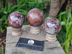 Polished Garnet Spheres x 3 From Mahajanga, Madagascar - Toprock Gemstones and Minerals 