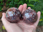 Polished Garnet Spheres x 3 From Mahajanga, Madagascar - Toprock Gemstones and Minerals 