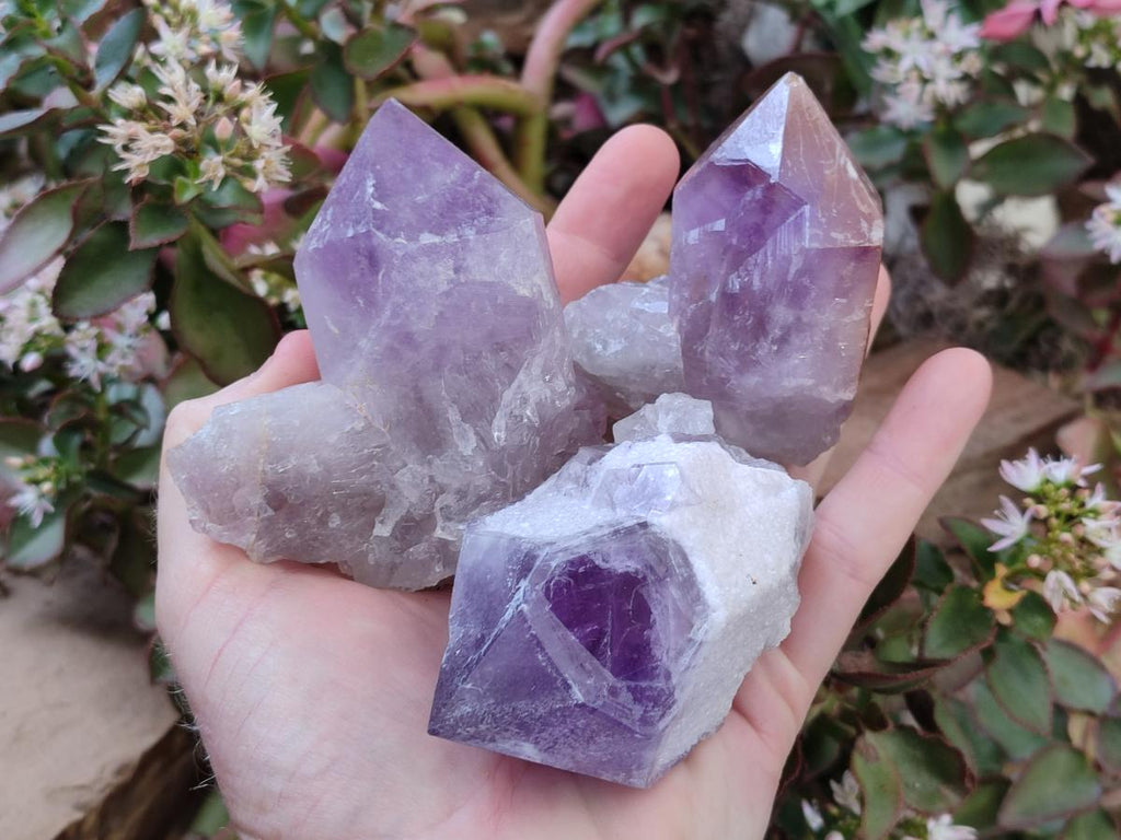 Natural Jacaranda Amethyst Crystals x 6 From Mumbwa, Zambia - Toprock Gemstones and Minerals 