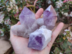 Natural Jacaranda Amethyst Crystals x 6 From Mumbwa, Zambia - Toprock Gemstones and Minerals 