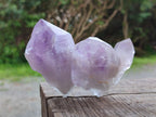 Natural Jacaranda Amethyst Crystals x 6 From Mumbwa, Zambia - Toprock Gemstones and Minerals 