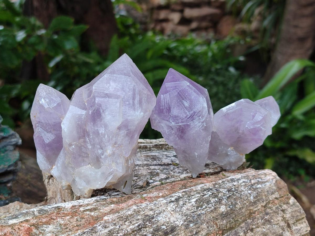 Natural Jacaranda Amethyst Crystals x 6 From Mumbwa, Zambia - Toprock Gemstones and Minerals 