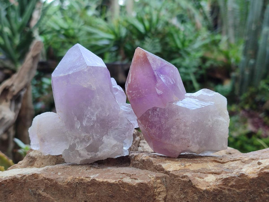 Natural Jacaranda Amethyst Crystals x 6 From Mumbwa, Zambia - Toprock Gemstones and Minerals 
