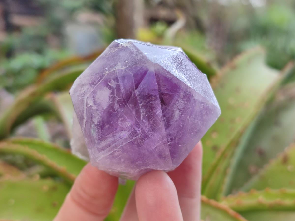 Natural Jacaranda Amethyst Crystals x 6 From Mumbwa, Zambia - Toprock Gemstones and Minerals 