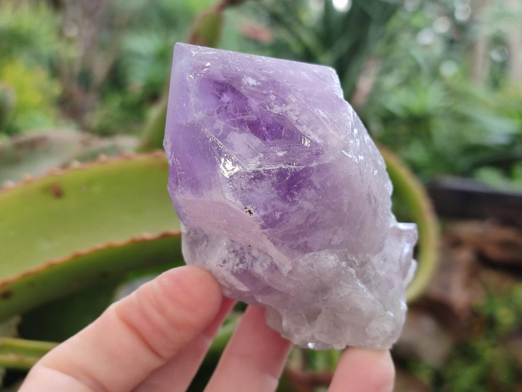 Natural Jacaranda Amethyst Crystals x 6 From Mumbwa, Zambia - Toprock Gemstones and Minerals 