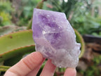 Natural Jacaranda Amethyst Crystals x 6 From Mumbwa, Zambia - Toprock Gemstones and Minerals 