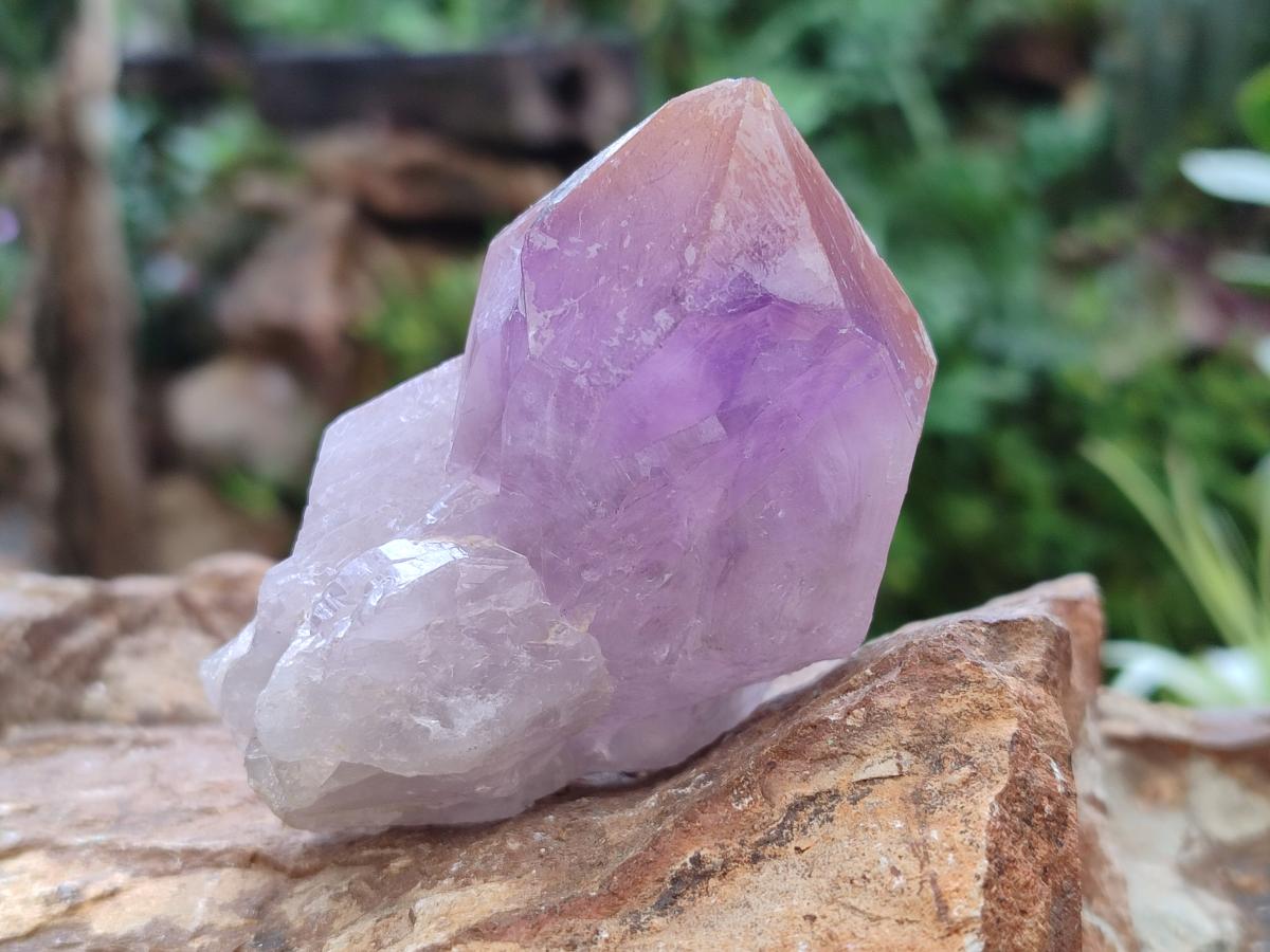Natural Jacaranda Amethyst Crystals x 6 From Mumbwa, Zambia - Toprock Gemstones and Minerals 