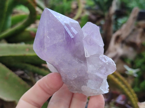 Natural Jacaranda Amethyst Crystals x 6 From Mumbwa, Zambia - Toprock Gemstones and Minerals 