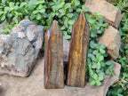 Polished Golden Tigers Eye Point and Tower x 2 From Prieska, South Africa - Toprock Gemstones and Minerals 