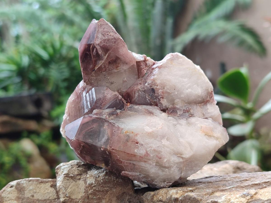 Natural Red Hematoid Quartz Clusters x 5 From Karoi, Zimbabwe - Toprock Gemstones and Minerals 