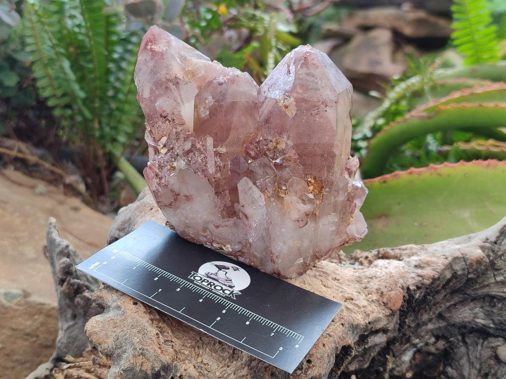 Natural Red Hematoid Quartz Clusters x 5 From Karoi, Zimbabwe - Toprock Gemstones and Minerals 