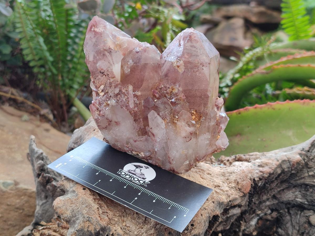 Natural Red Hematoid Quartz Clusters x 5 From Karoi, Zimbabwe - Toprock Gemstones and Minerals 