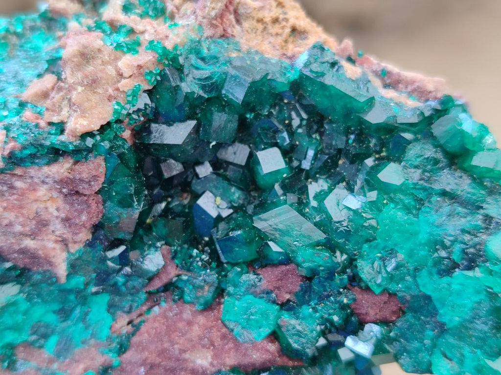 Natural Dioptase on Dolomite Specimens x 3 From Likasi, Congo - Toprock Gemstones and Minerals 